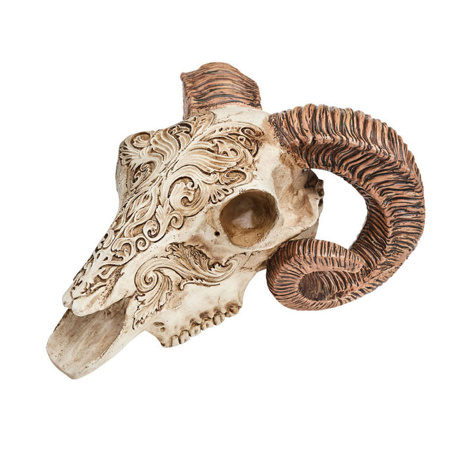 Scrimshaw Ram Skull- angled view