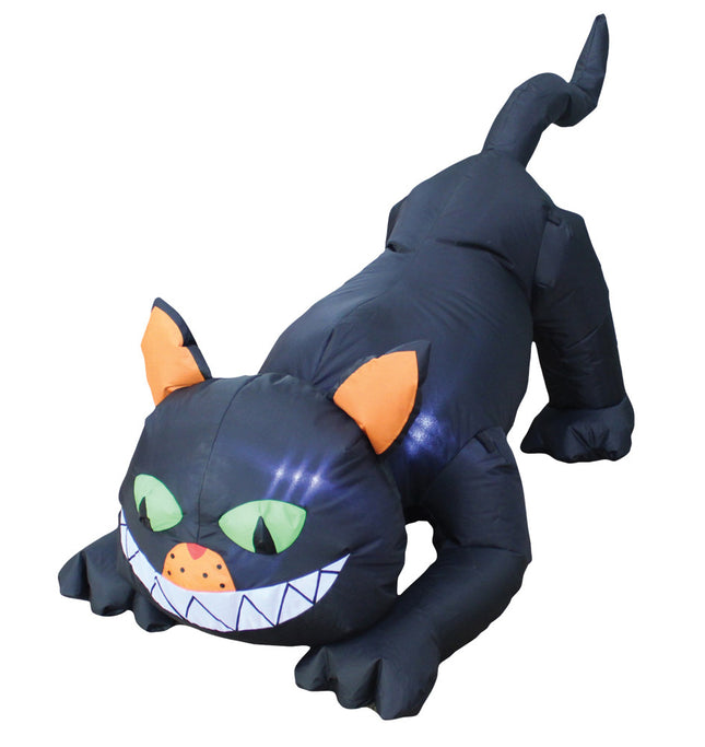 BLACK CAT 6.5 FT LONG