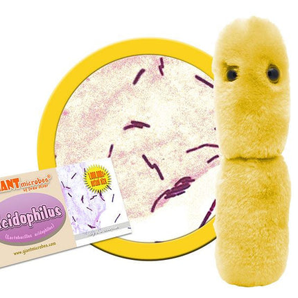 Acidophilus plushie with informational tag