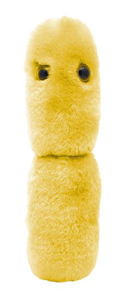 Acidophilus Plushie front view