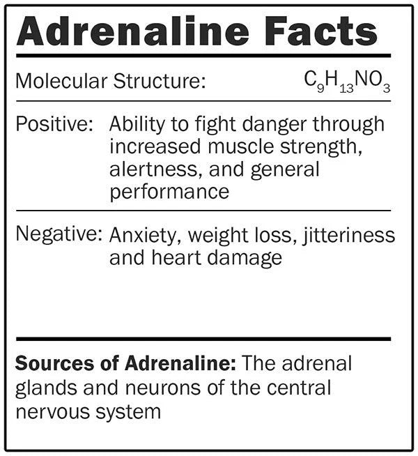 Adrenaline- Classic- Facts