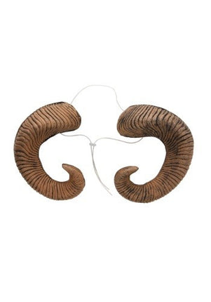 Ram Horns- front view