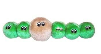 Algae Plushie
