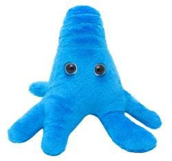 Blue Amoeba- front view