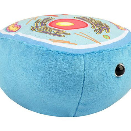 Animal Cell- Side View