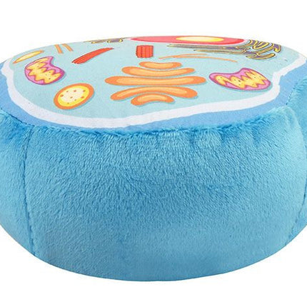 Animal Cell- Back view