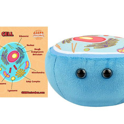 Animal Cell- With Informational Tag