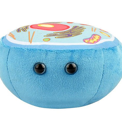 Animal Cell- Front View