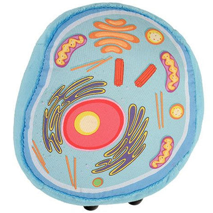 Animal Cell- Top View