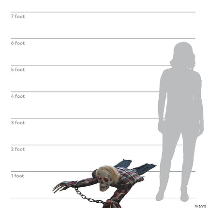 Animated Crawling Skeleton- size comparison