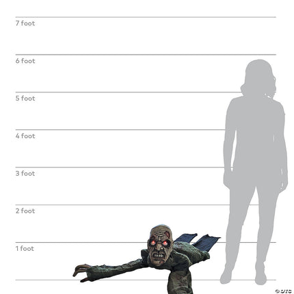 Animated Crawling Zombie Prop- size comparison