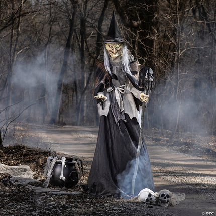 Animated Lunging Haggard Witch- displayed in yard
