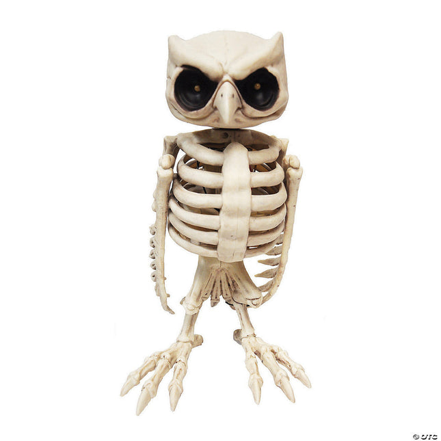 Animated Owl Skeleton Prop