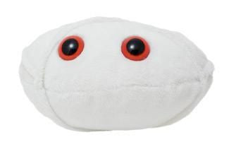 Anthrax Plushie front view