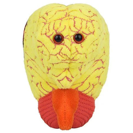 Anxiety- Front View