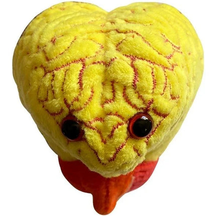 Anxiety- Face View
