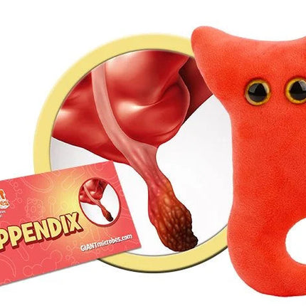 Appendix- with informational tag