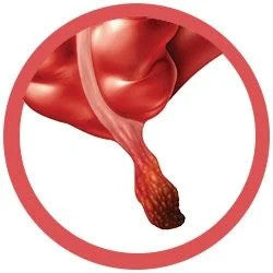 Appendix 