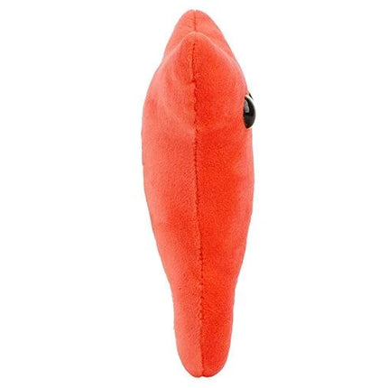 Appendix- side view