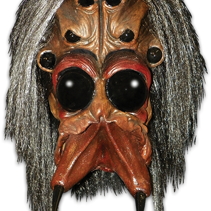 Front view of Arachnoid Mask