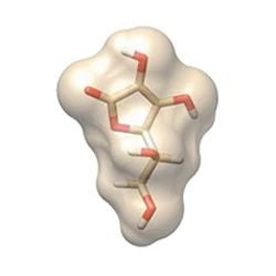 Ascorbic Acid