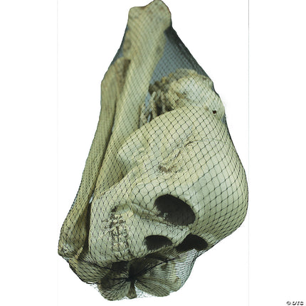 Bag Of Bones- in bag