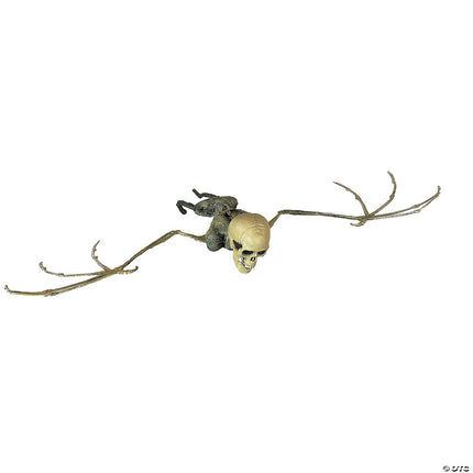 Bat Skeleton- flat view