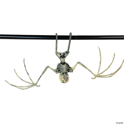Bat Skeleton- back view 2