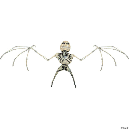 Bat Skeleton- front view
