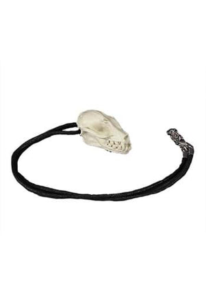 Bat Skull Necklace/Pin