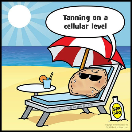 Tanning on a cellular level