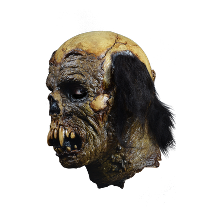 Left side of Beast Mask