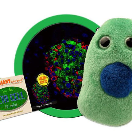 Beta Cell/Diabetes- With Informational Tag