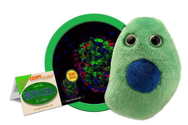 Beta Cell/Diabetes- With Informational Tag