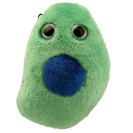 Beta Cell/Diabetes- Front View