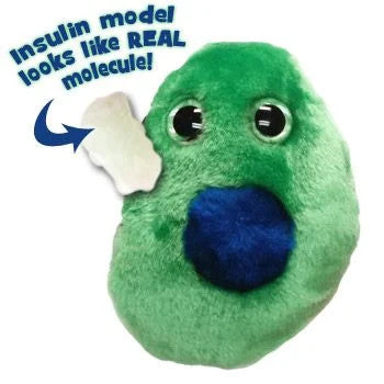 Beta Cell/Diabetes- With Insulin Molecule
