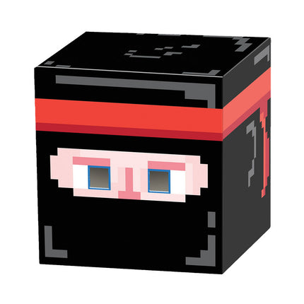 NINJA 8-BIT BOX HEAD