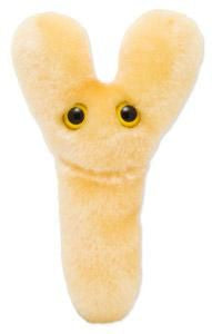 Bifido Plushie