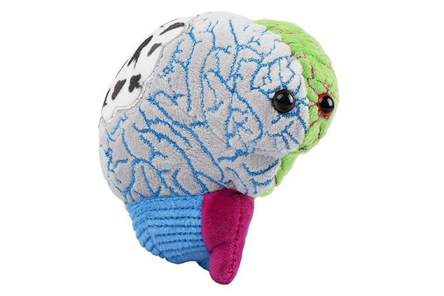 Bipolar brain plushie angled view