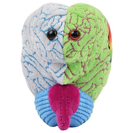 Bipolar brain plushie front view