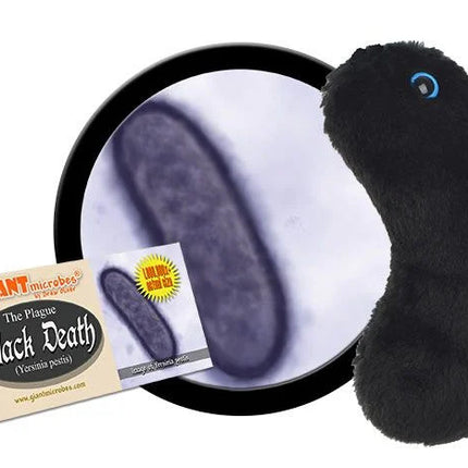 Black Death- With Informational Tag