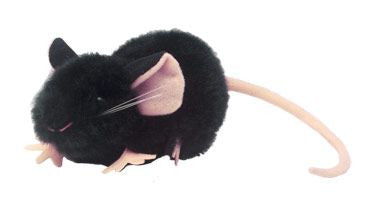 Black Lab Mouse Plushie