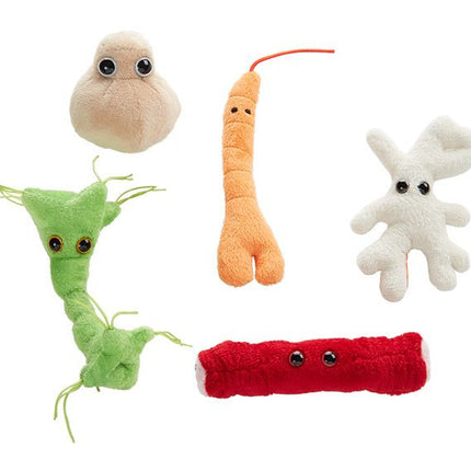 Bone Cell, Fat Cell, Nerve Cell, Hair, and Muscle Cell Plushies
