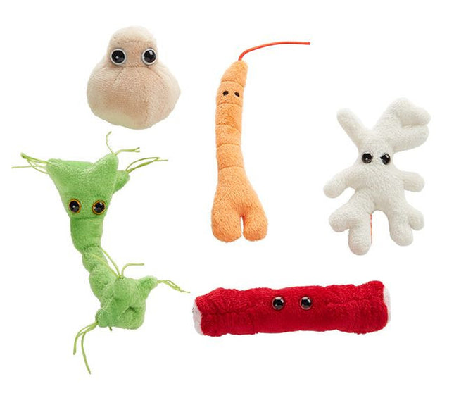Bone Cell, Fat Cell, Nerve Cell, Hair, and Muscle Cell Plushies