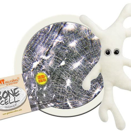 Bone Cell- With Informational Tag