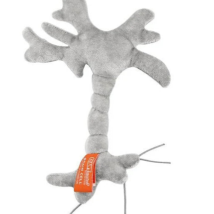 Brain Cell (Neuron)- Back View