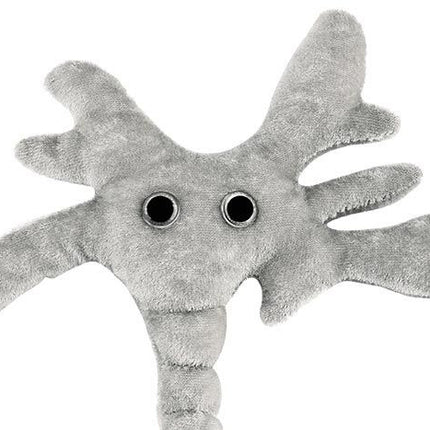 Brain Cell (Neuron)- Face View