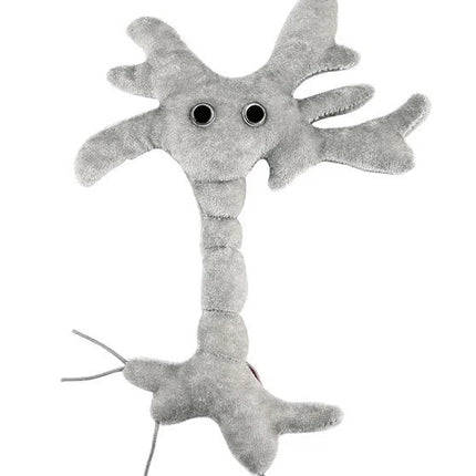 Brain Cell (Neuron)- Front View