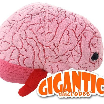 Gigantic Brain Organ