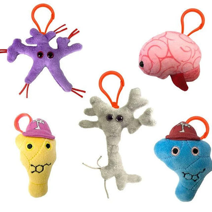 Brain Science Gift Box- Brain, Dopamine, Serotonin, Glial Cell and Neuron